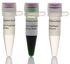 FastDigest PvuI restriction enzyme