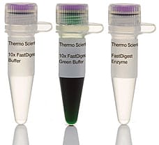 FastDigest SacI restriction enzyme