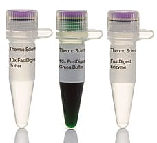 FastDigest SalI restriction enzyme