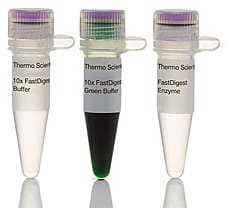 FastDigest SbfI (SdaI) restriction enzyme