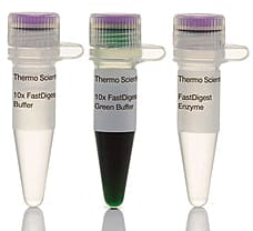 FastDigest StuI (Eco147I) restriction enzyme