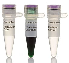 FastDigest TaaI restriction enzyme