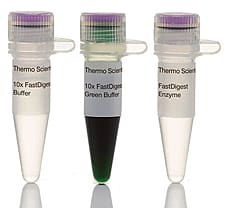 FastDigest TaiI restriction enzyme