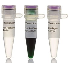 FastDigest TfiI (PfeI) restriction enzyme