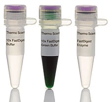 FastDigest Tru1I restriction enzyme