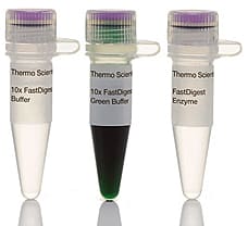 FastDigest TspRI (TscAI) restriction enzyme