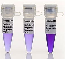 FastRuler High Range DNA Ladder  ready-to-use