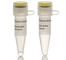 FspBI (BfaI) restriction enzyme