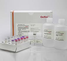 GeNei Amplification Reagents Set for Human Papilloma Virus-670100011730