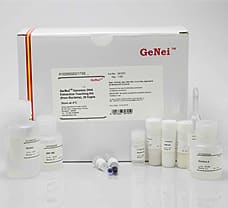 GeNei Genomic DNA Extraction Teaching Kit-6102800021730