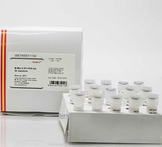 GeNei M-MuLV RT-PCR Kit-667400011730