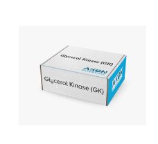 Glycerol Kinase (GK), 5KU