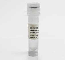 Goat-anti mouse IgG (Affinity Purified), 5 mg
