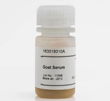 Goat serum 10ml