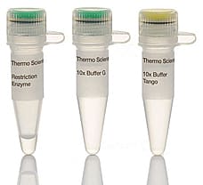 Hin1I (BsaHI) restriction enzyme