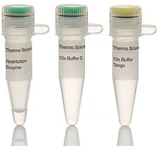 Hin1II (NlaIII) restriction enzyme