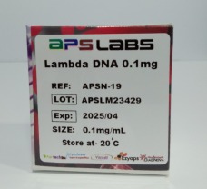 Lambda DNA 0.1 mg, 0.1mg/mL
