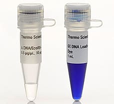 Lambda DNA/EcoRI+HindIII Marker, 25 x 50 g