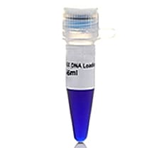 Lambda DNA/Hind III Marker-TLDH-3