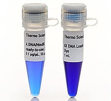 Lambda DNA/HindIII Marker  ready-to-use, 5 x 50 g