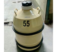 Liquid Nitrogen Container - 55 ltr.
