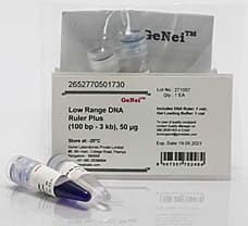 Low Range DNA Ruler