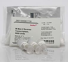 M-MuLV Reverse Transcriptase-601300061730