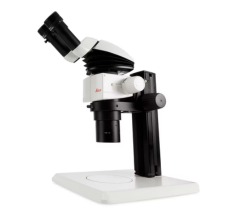 M80 Routine Stereo Microscopes