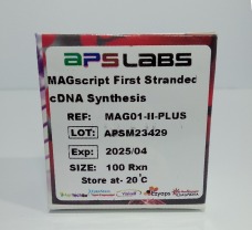 MAGscript First Stranded cDNA Synthesis, 100 Rxn