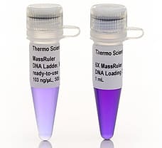 MassRuler High Range DNA Ladder  ready-to-use