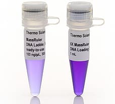 MassRuler Low Range DNA Ladder  ready-to-use