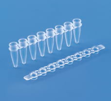 Maxiamp 0.2 ml clear tube strips with cap