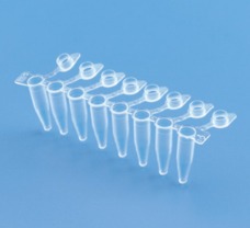 Maxiamp 0.2ml Tubes Strips with attached Cap -610080