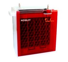 Midiblot - Single cassette western blotting system