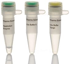 MnlI restriction enzyme