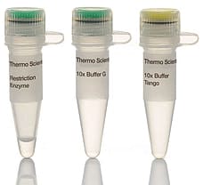 MnlI restriction enzyme