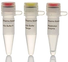 Mph1103I (NsiI) restriction enzyme