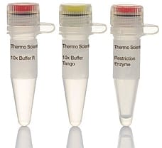 Mph1103I (NsiI) restriction enzyme