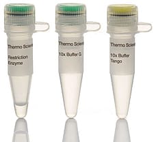 MreI (Sse232I) restriction enzyme