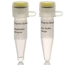 MspI (HpaII) restriction enzyme