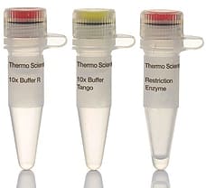 Mva1269I (BsmI) restriction enzyme