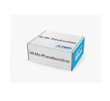 N1-Me-Pseudouridine, 1g