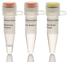 NdeI restriction enzyme