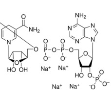 Nicotidamide Adenine