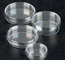 Nunc Cell Culture/Petri Dishes 150 mm
