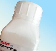 Nutrient Broth w/ 1% Peptone-M244S-500G