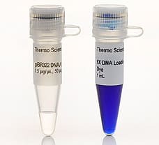 pBR322 DNA/BsuRI (HaeIII) Marker, 5, 50 g