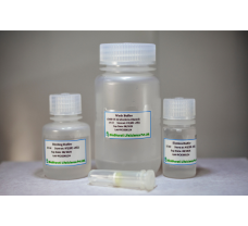 PCR Cleanup Kit - Spin Column - 50