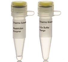 Pfl23II (BsiWI) restriction enzyme