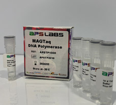 Klen Taq DNA Polymerase 5U/uL, 200 U